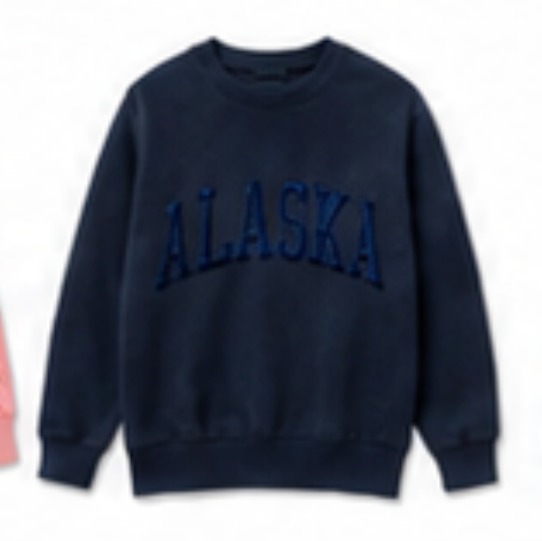 Alaska embroidered crewneck sweatshirt